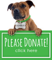 please-donate-dog | The Community Foundation of the Dan River Region